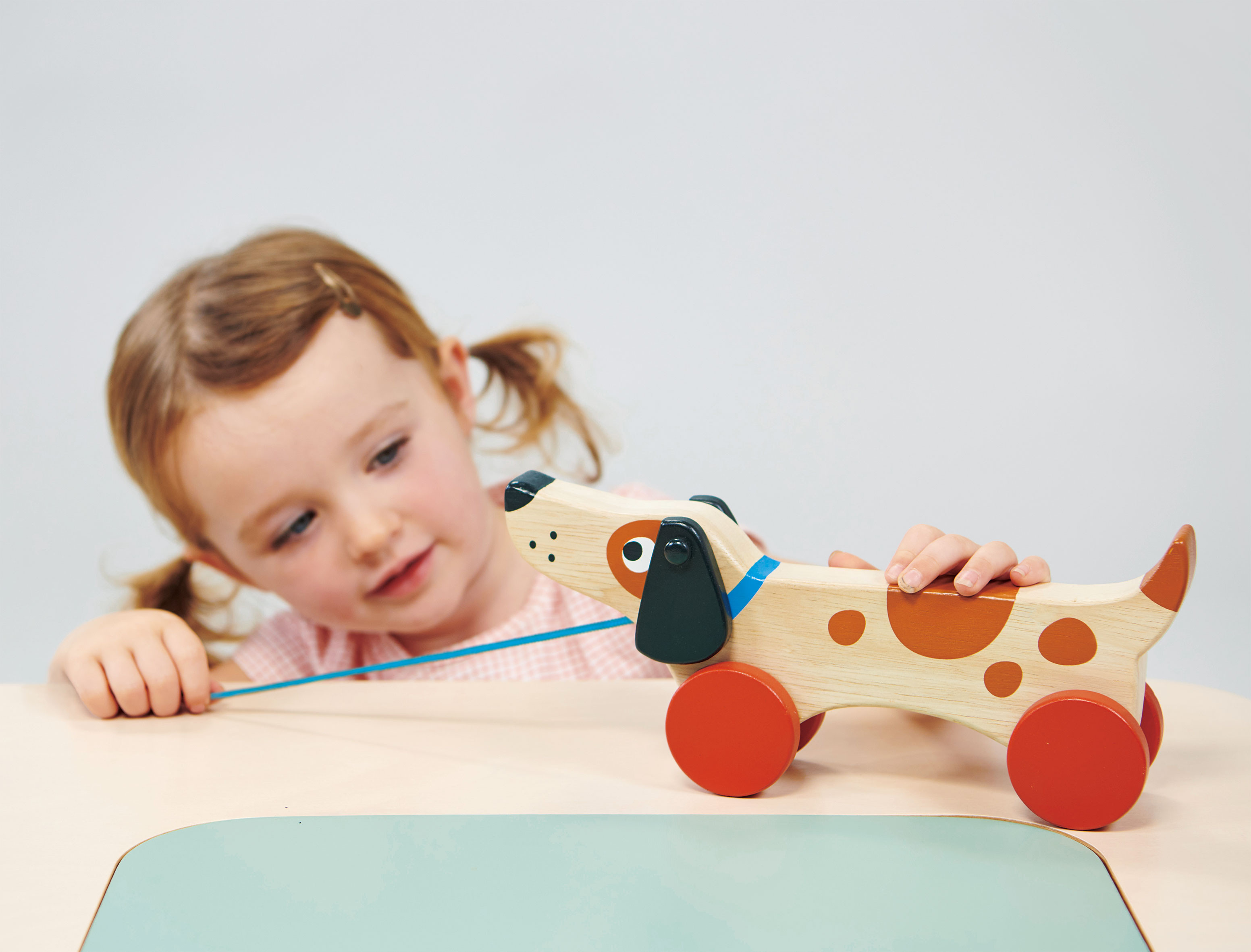 Mentari Šuniukas su 4 ratukais ir virvele