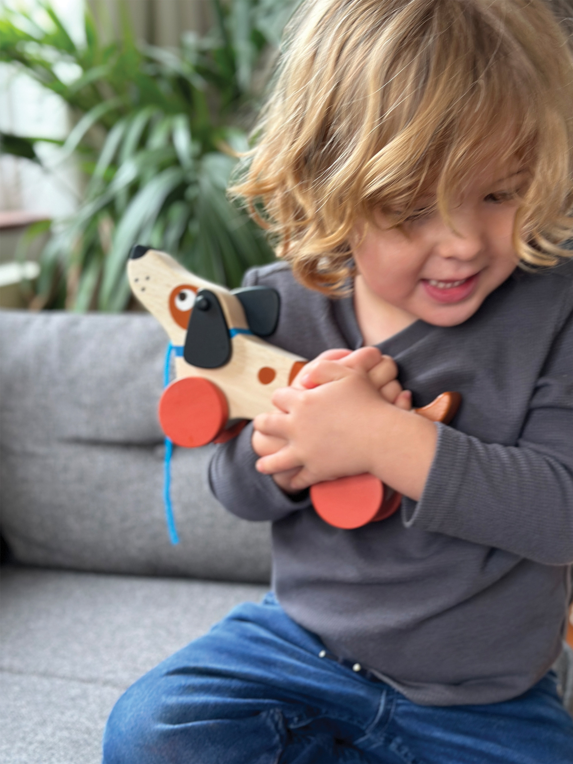 Mentari Šuniukas su 4 ratukais ir virvele