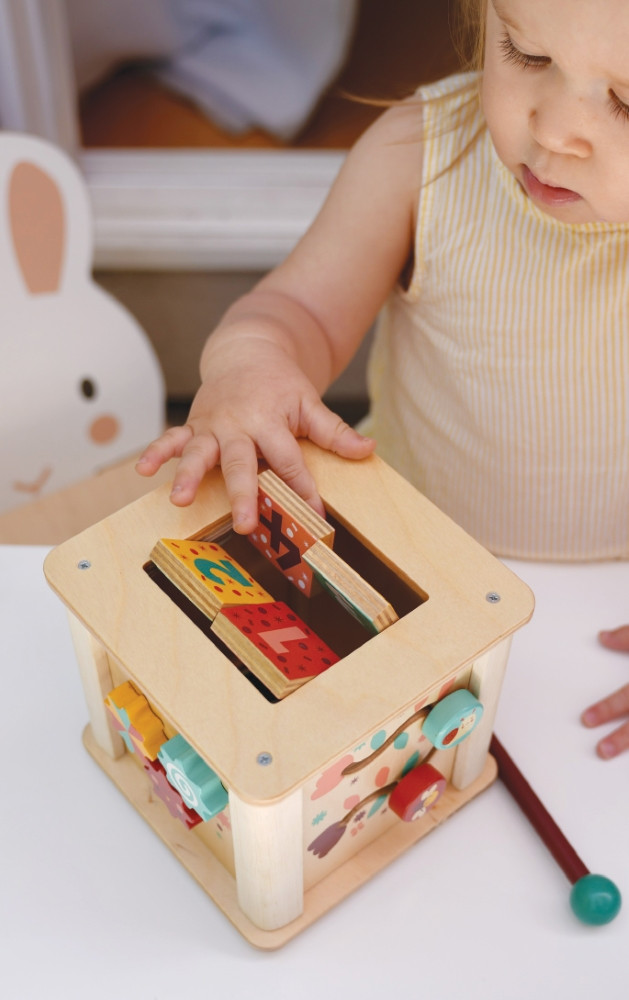 Mentari Mažylio veiklos kubas