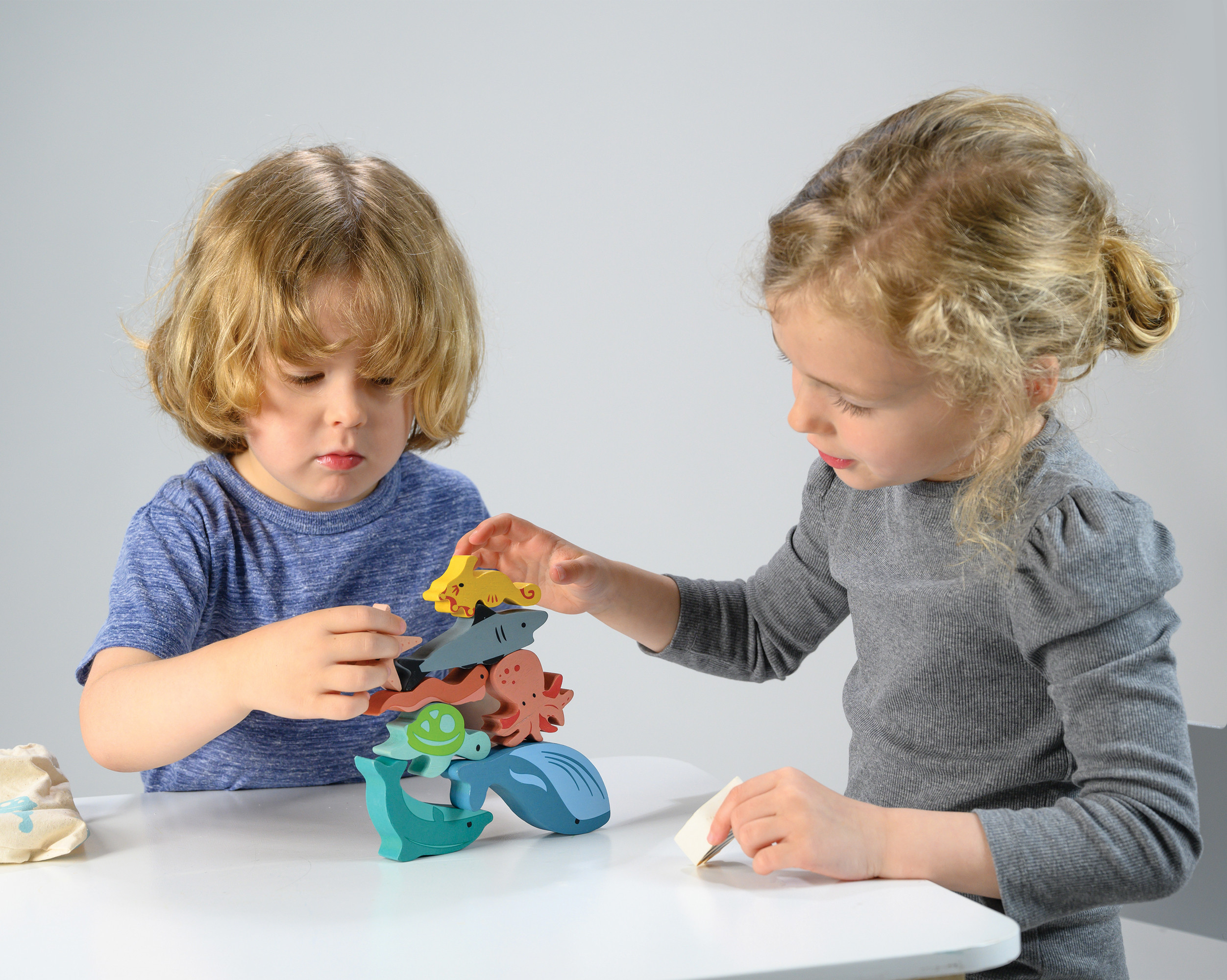 Mentari Statymo-pusiausvyros žaidimas Vandenynas