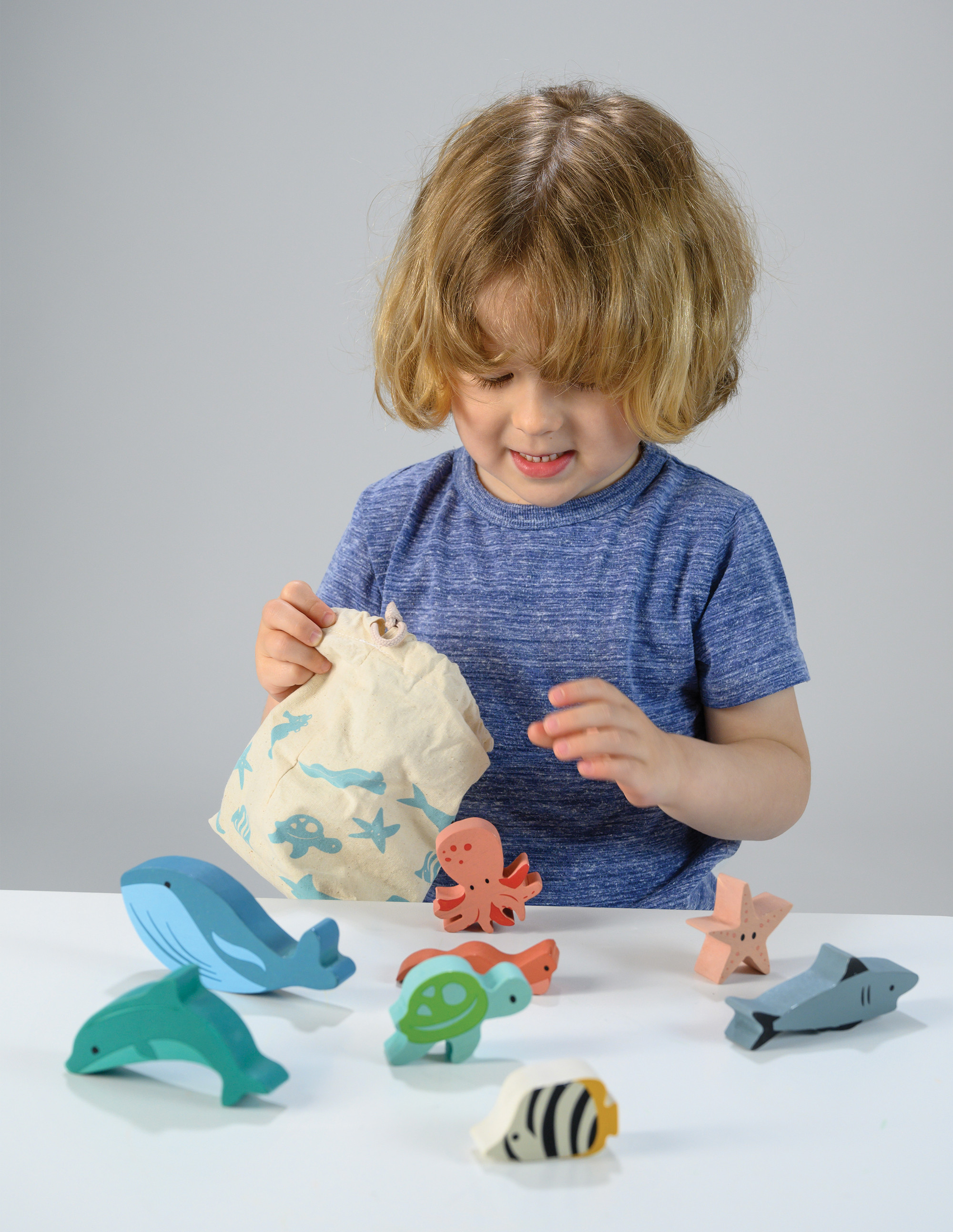 Mentari Statymo-pusiausvyros žaidimas Vandenynas