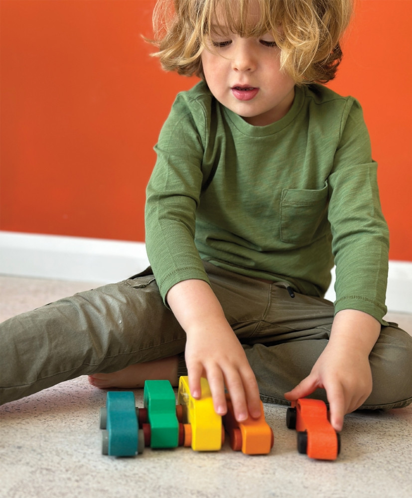 Mentari Spalvotų mašinų rinkinys