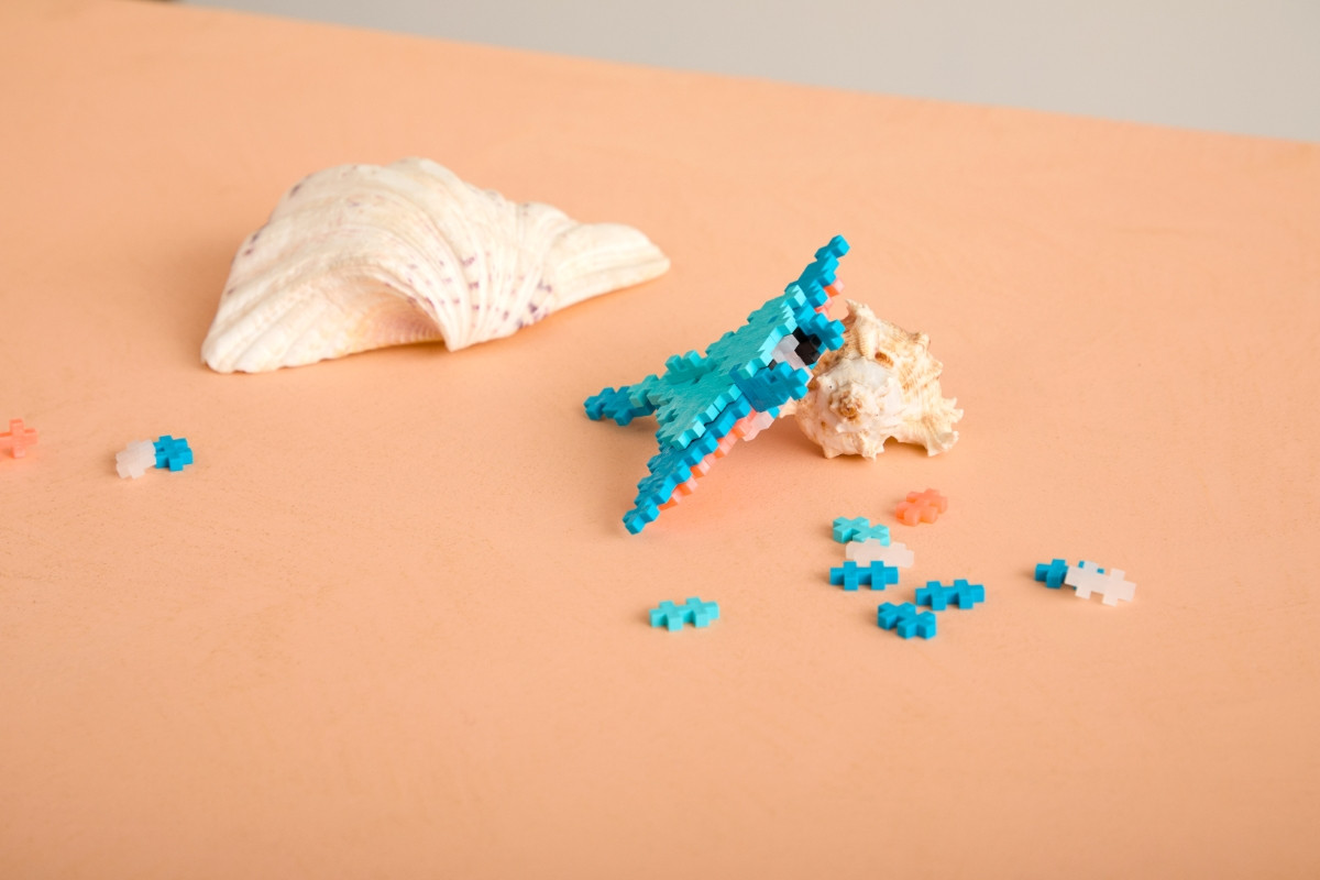 Plus Plus konstruktorius Raja 100 det