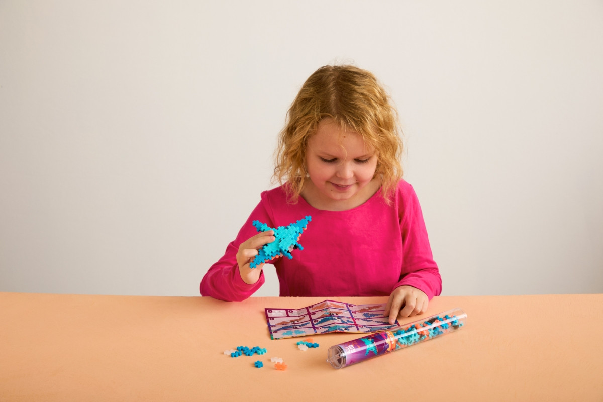 Plus Plus konstruktorius Raja 100 det