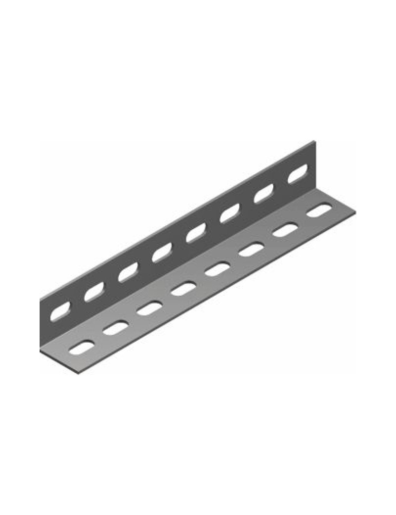 Perforuotas kampuotis KTC25H25/2 (2mm, L-2m) BAKS