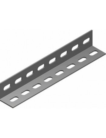 Perforuotas kampuotis KTP25H25/2 (1.5mm, L-2m) BAKS