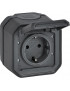 VirÅ¡tinkinis 1vt. kiÅ¡tukinis lizdas Plexo Legrand 069799L (IP55, juodas, su Ä¯Å¾eminimu)