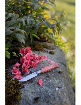 Peilis Opinel Nr.8 Laminated Red nerūdijančio plieno ašmenimis ir raudona beržo rankena