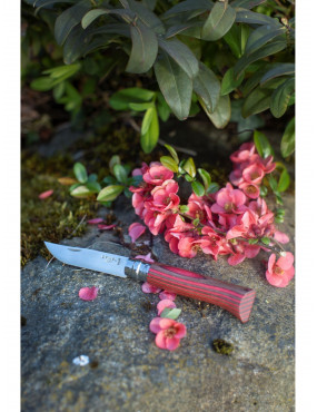 Peilis Opinel Nr.8 Laminated Red nerūdijančio plieno ašmenimis ir raudona beržo rankena