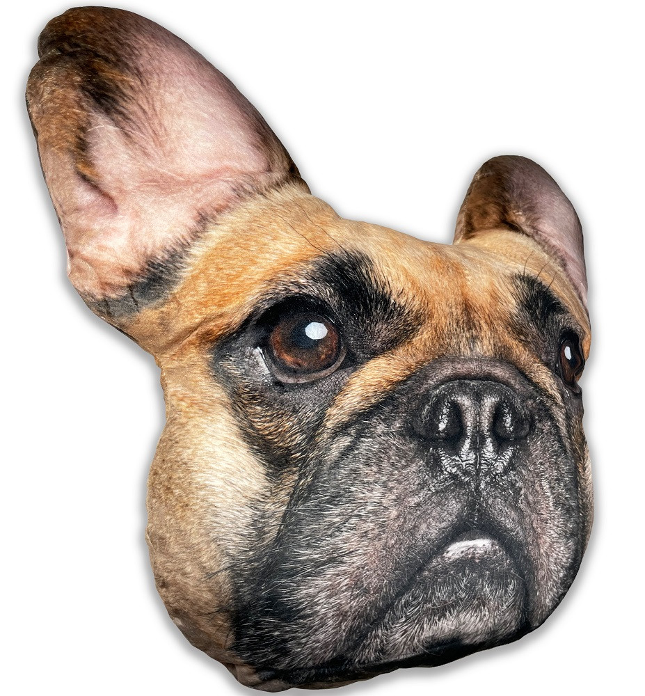 Splat Planet pagalvėlė-suvenyras PRANCŪZŲ BULDOGAS