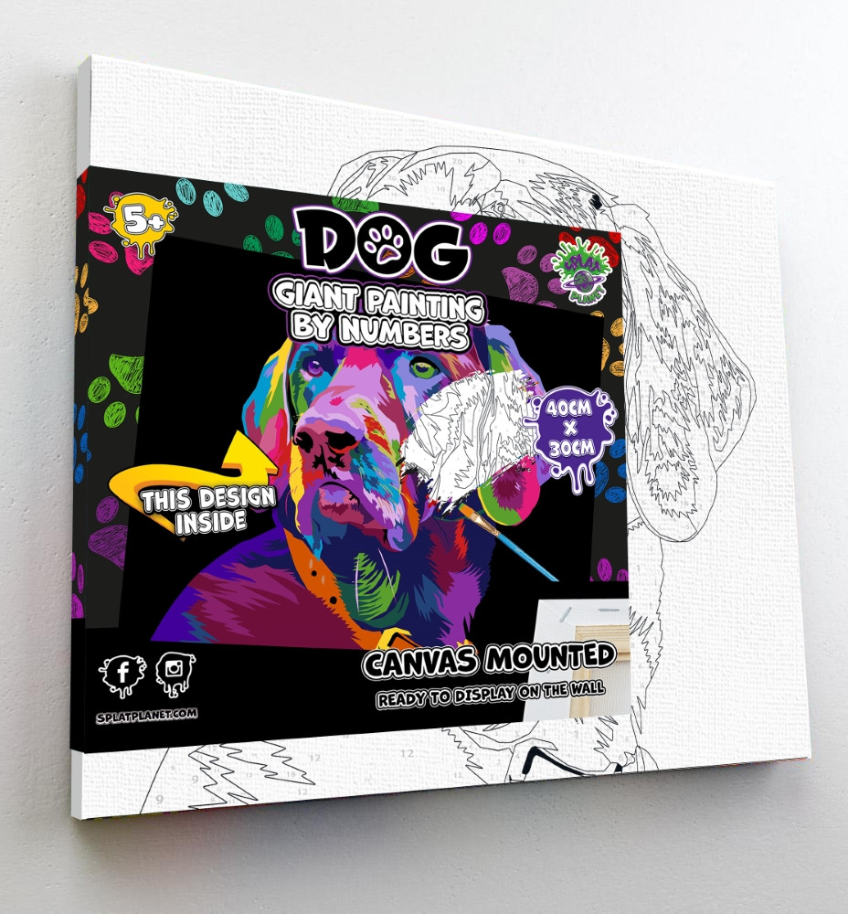 Splat Planet tapyba pagal skaičius ŠUO 30x40 cm