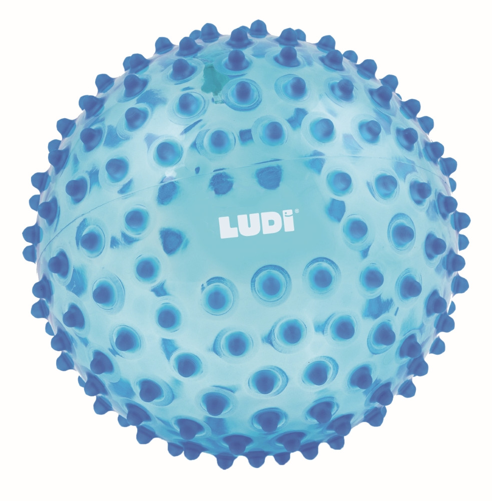 LUDI mankštos kamuolys mėlynas 20 cm