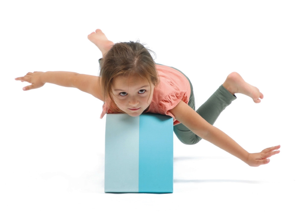 LUDI balansavimo žaidimas