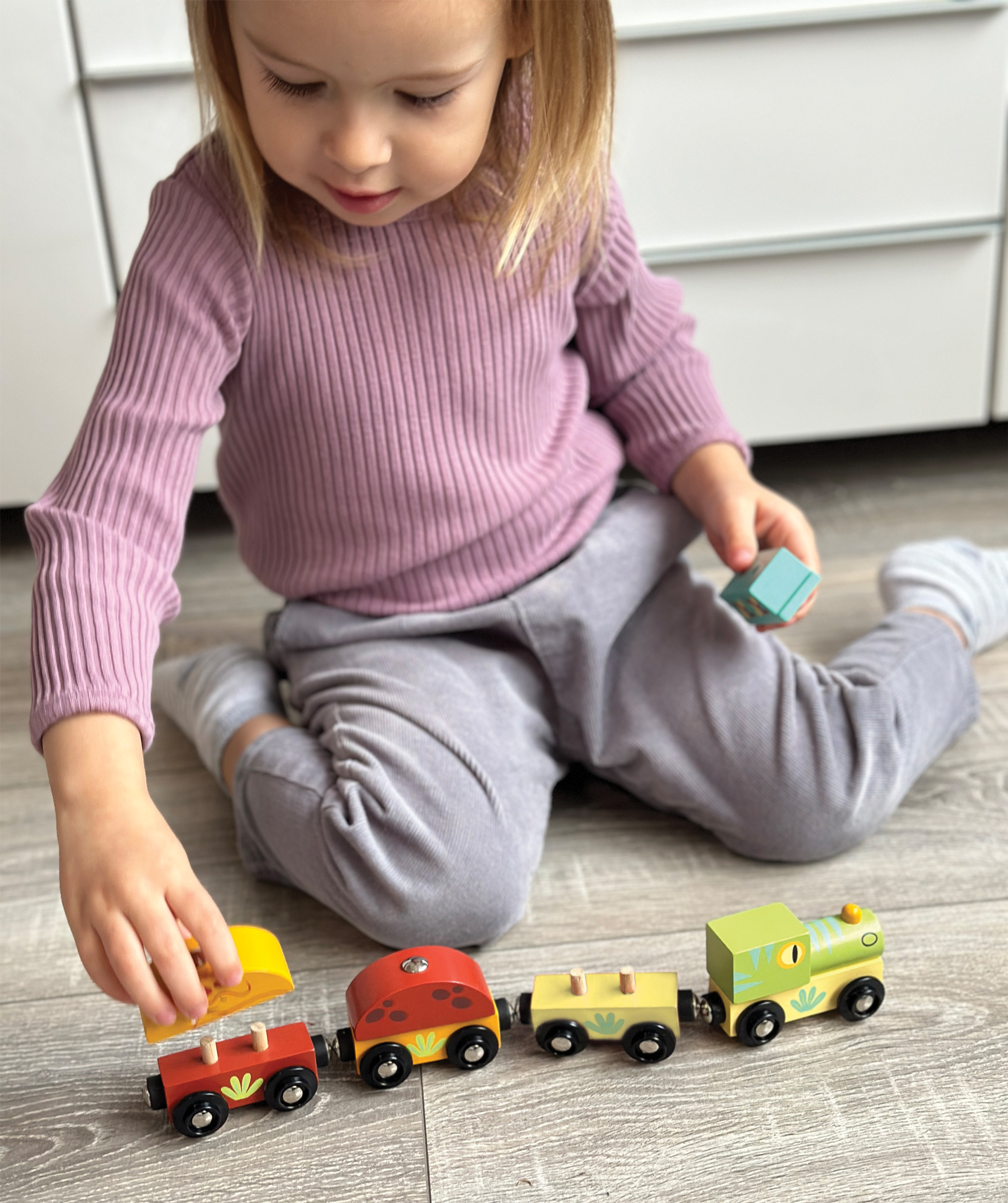 Mentari Traukinukas Dinozauras