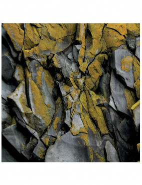 Kaklaskarė Skaara Rock Experience