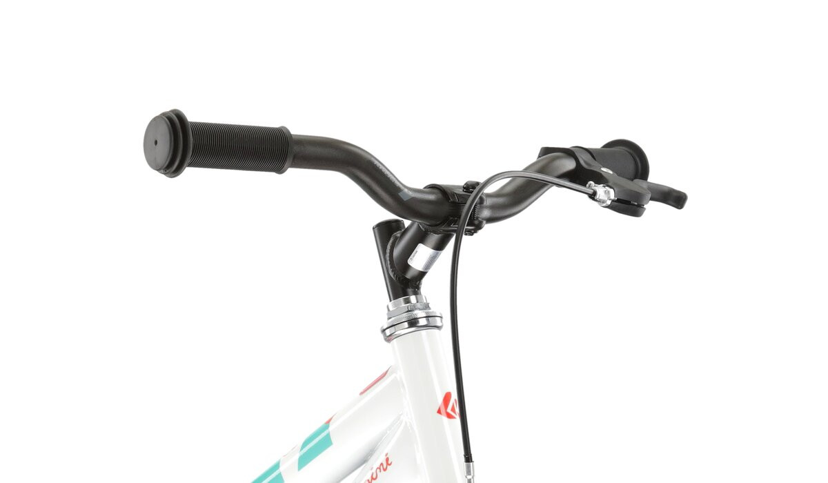 KROSS Mini 30 whi-cel-cor g vaikiškas dviratis 16