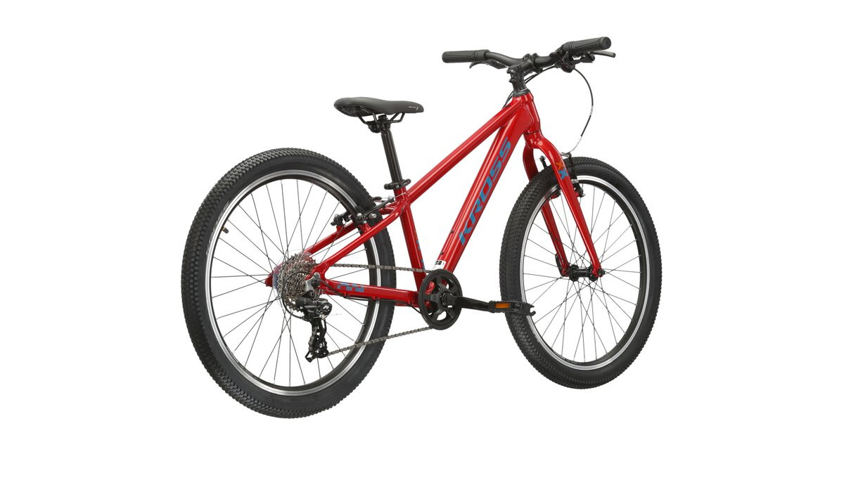 KROSS Level JR 10 red-tea g vaikiškas dviratis 24