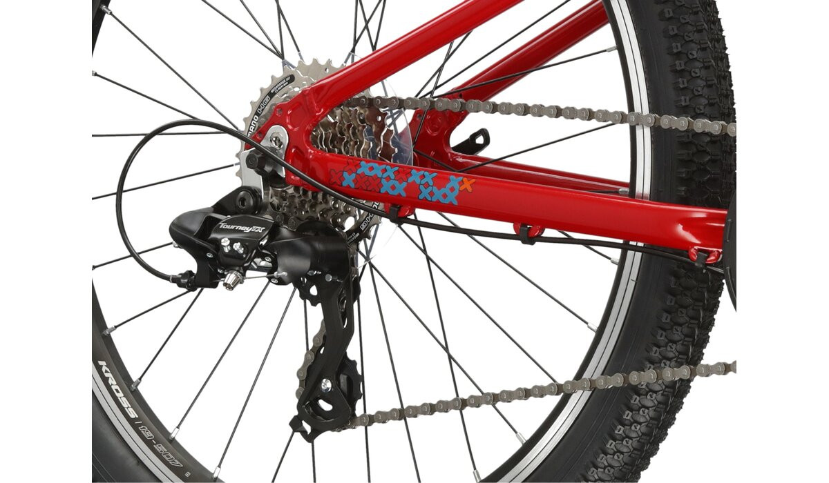 KROSS Level JR 10 red-tea g vaikiškas dviratis 24