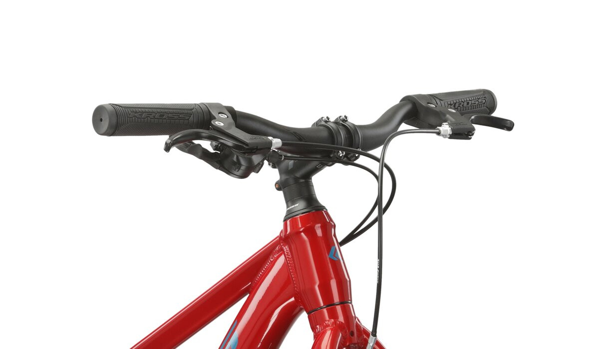 KROSS Level JR 10 red-tea g vaikiškas dviratis 24