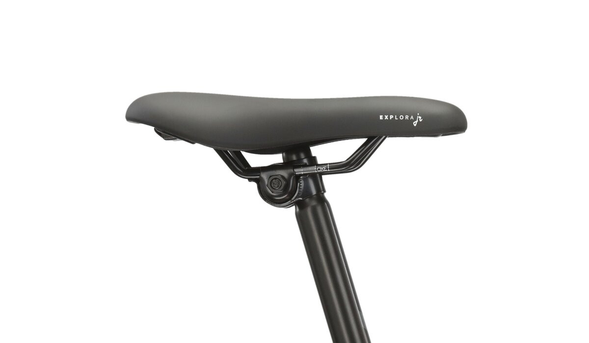 KROSS Level JR 10 red-tea g vaikiškas dviratis 24