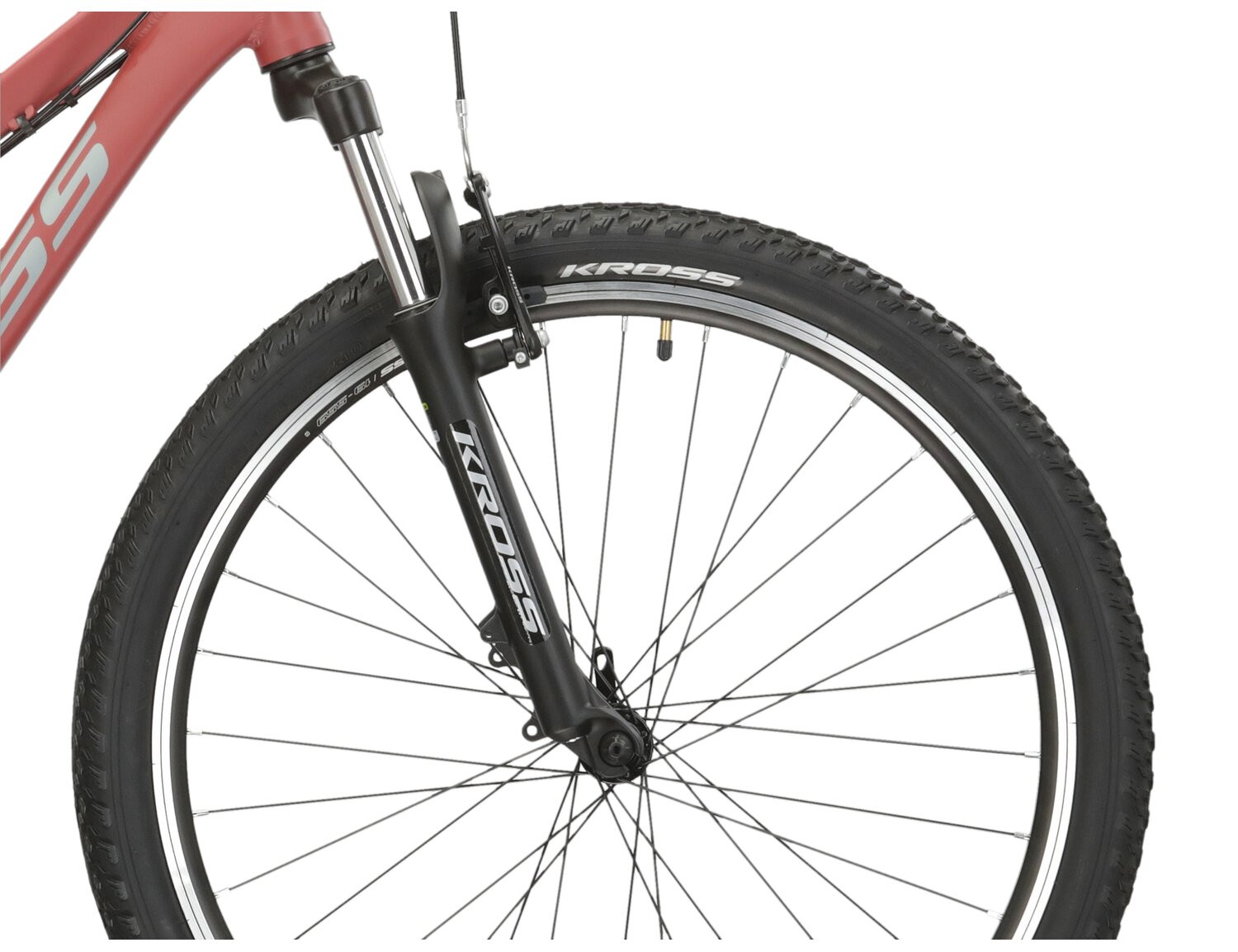 KROSS Lea 10 D cla-gry m moteriškas kalnų MTB dviratis 26