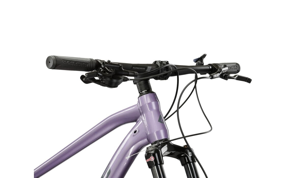 KROSS Level 40 D pur-dpu g moteriškas kalnų MTB dviratis 29