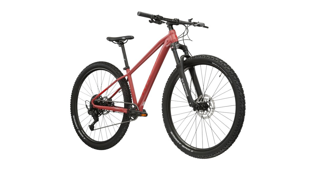 KROSS Level 40 D cla-cla m moteriškas kalnų MTB dviratis 29