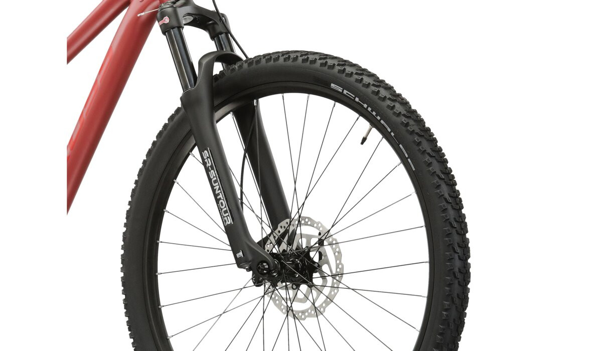 KROSS Level 40 D cla-cla m moteriškas kalnų MTB dviratis 29