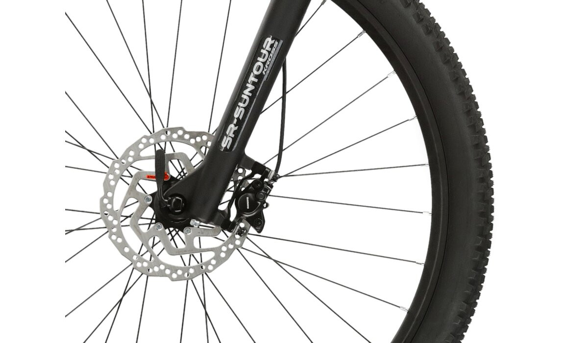 KROSS Level 40 D cla-cla m moteriškas kalnų MTB dviratis 29