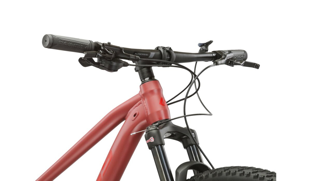 KROSS Level 40 D cla-cla m moteriškas kalnų MTB dviratis 29