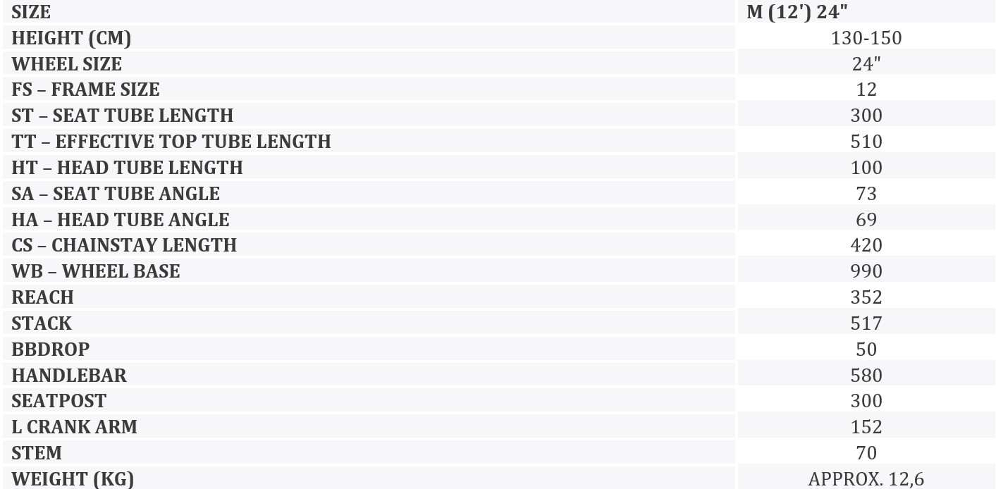 KROSS Level JR 10 bei g vaikiškas dviratis 24