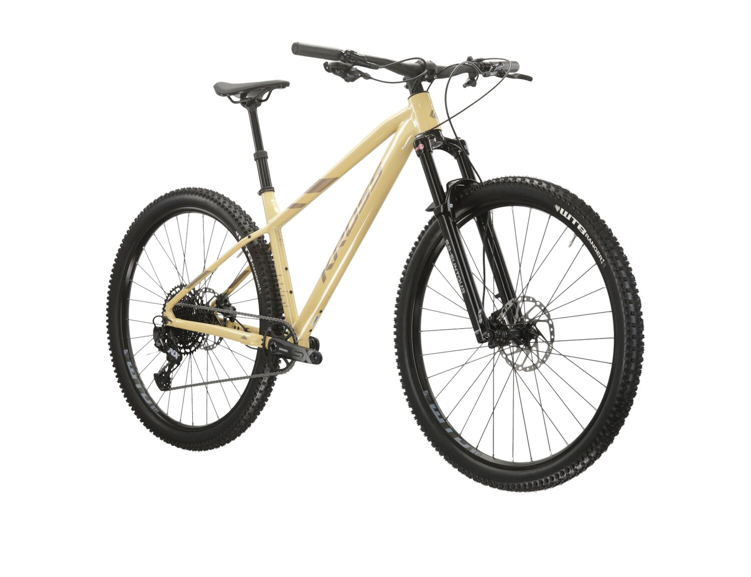 KROSS Level 60 D bei-bro g moteriškas kalnų MTB dviratis 29