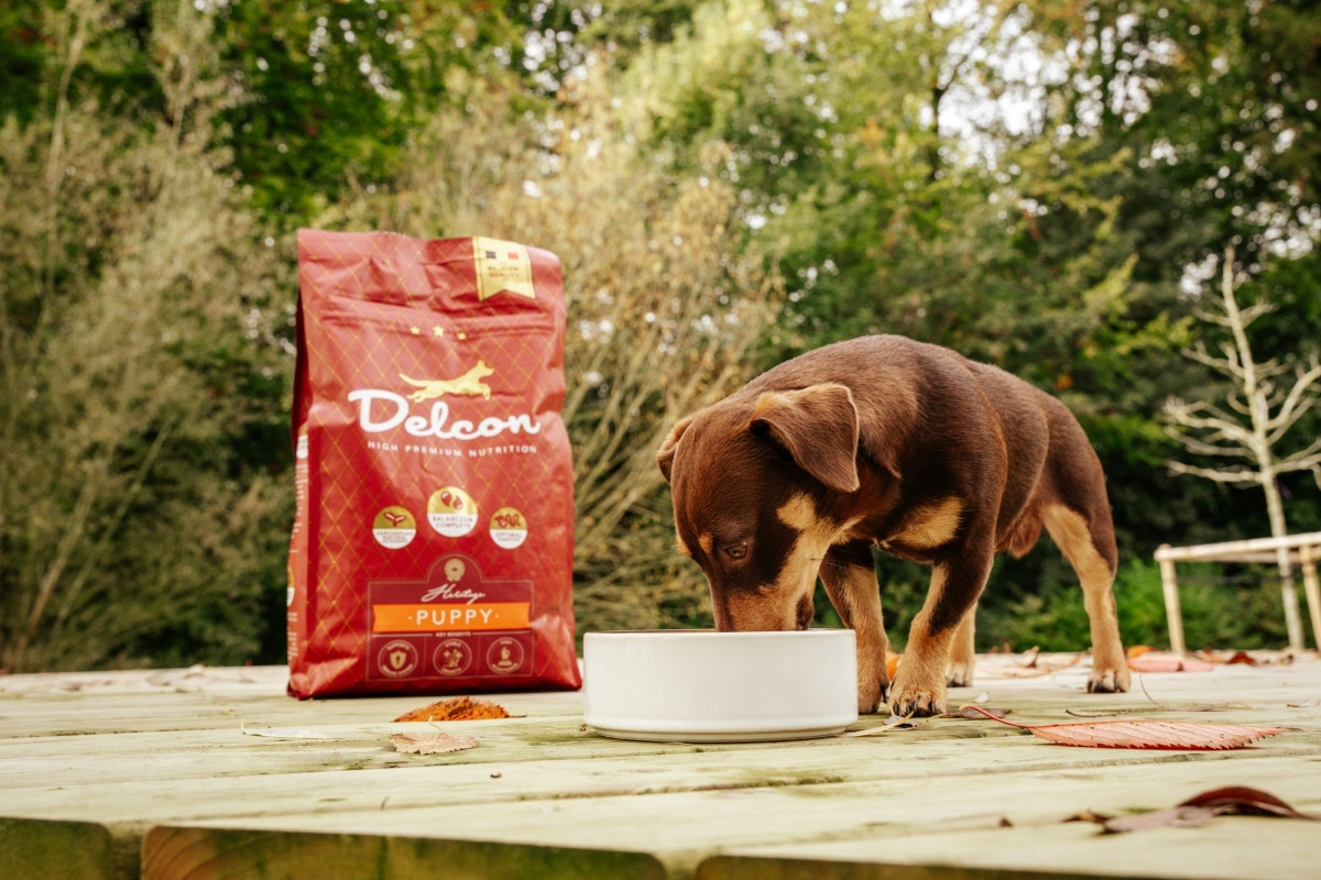 Visavertis pašaras mažiems šuniukams PUPPY didelių veislių šunims / 12 kg