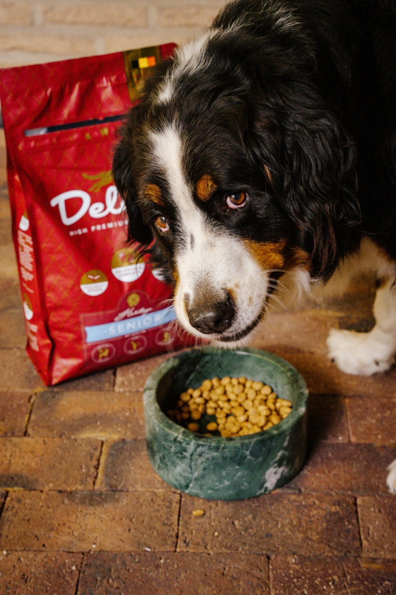 Visavertis pašaras šunims senjorams SENIOR didelių veislių šunims / 3 kg