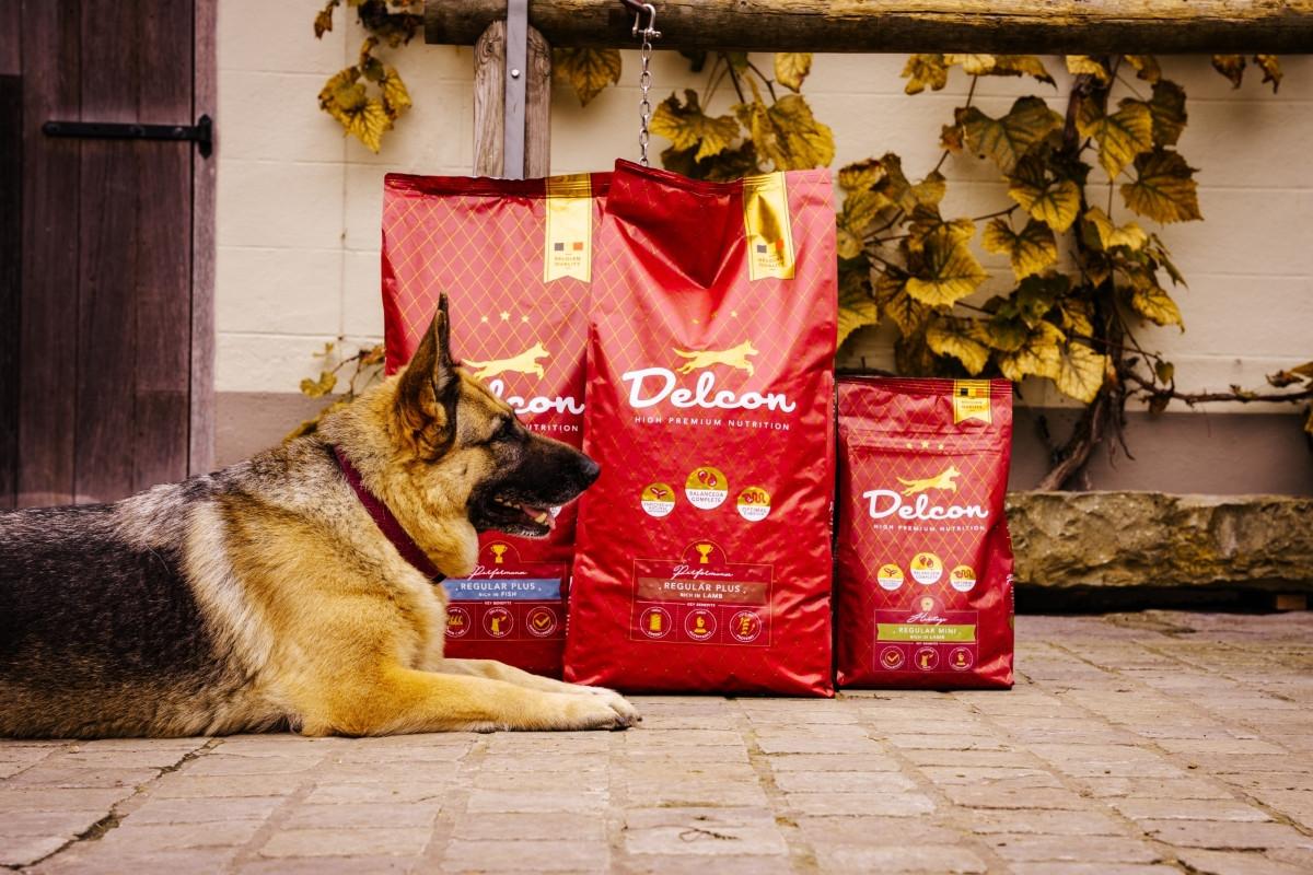 Visavertis pašaras suaugusiems šunims REGULAR PLUS su žuvimi / 3 kg