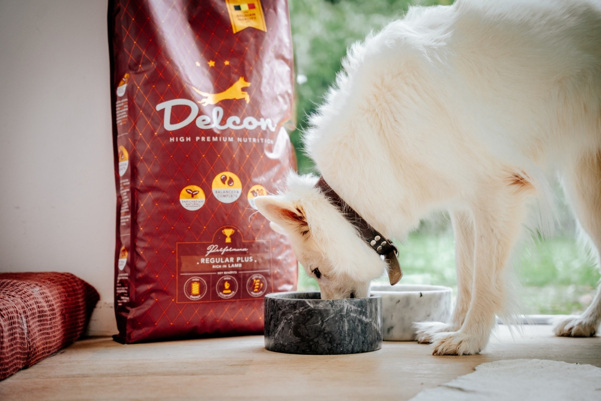 Visavertis pašaras suaugusiems šunims REGULAR PLUS su ėriena / 12 kg