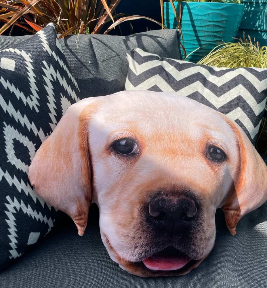 Splat Planet pagalvėlė-suvenyras LABRADORAS