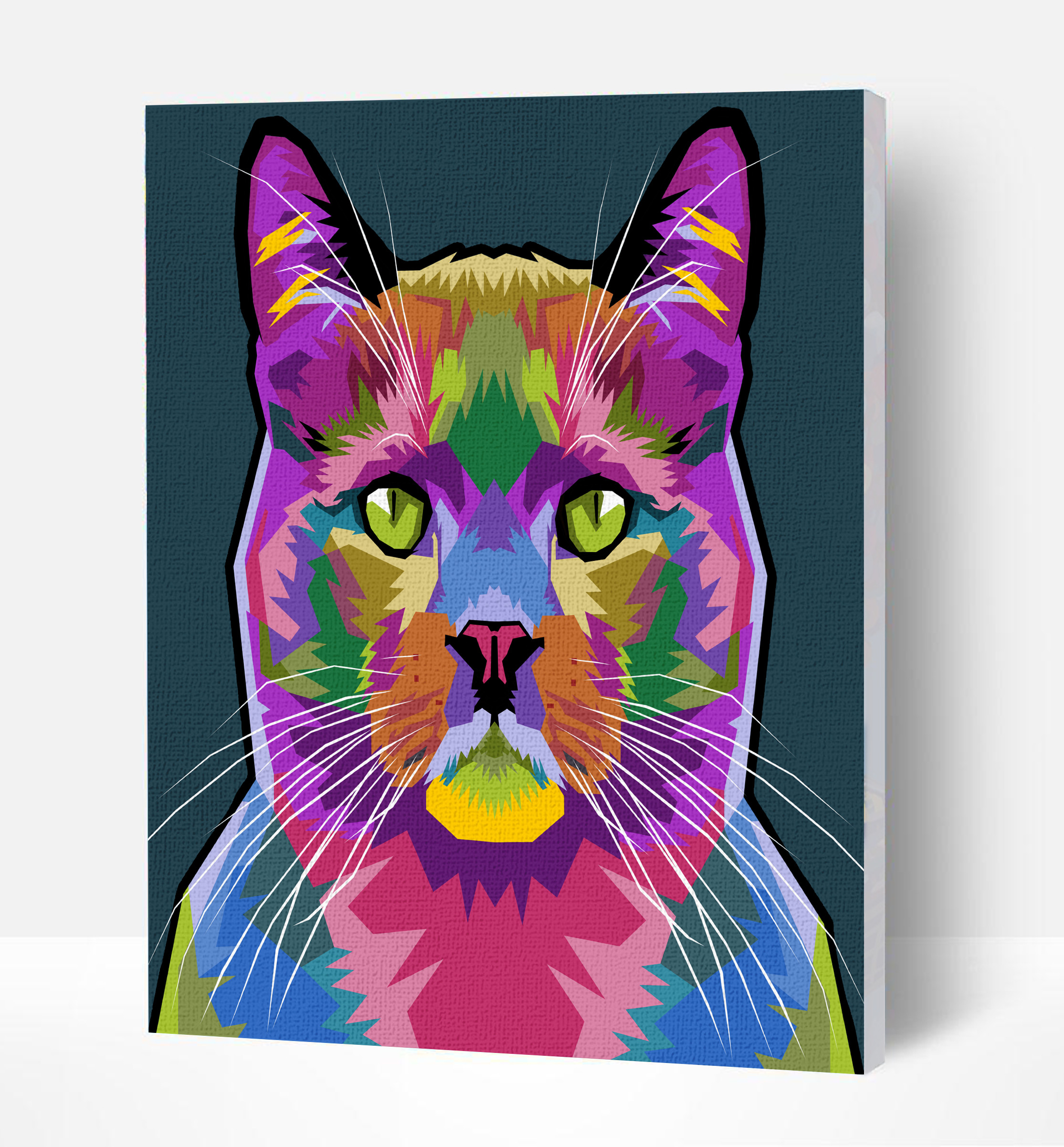 Splat Planet tapyba pagal skaičius KATĖ 30x40 cm