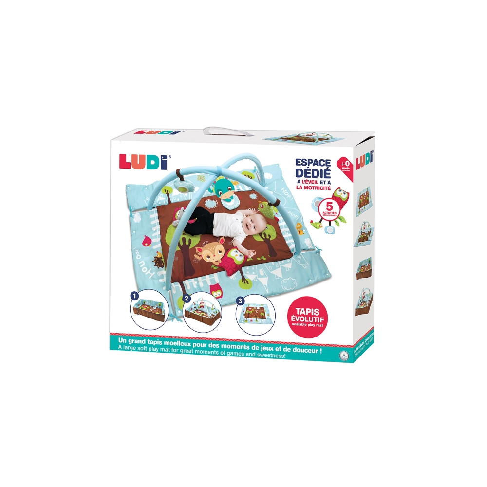 LUDI lavinamasis žaidimų kilimėlis mėlyna pelėda