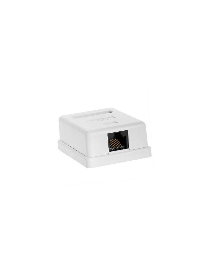 VirÅ¡tinkinis kiÅ¡tukinis lizdas RJ45 UTP 6e cat.