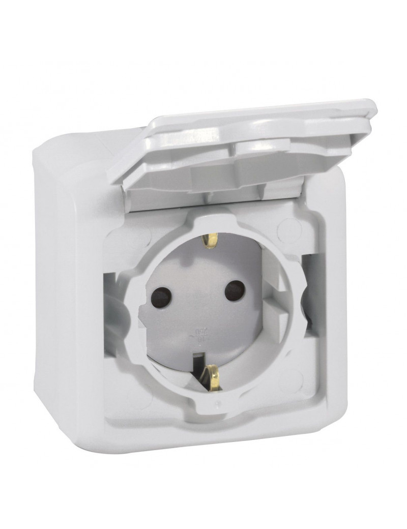 VirÅ¡tinkinis kiÅ¡tukinis lizdas su Ä¯Å¾eminimu 782393 Forix Legrand (pilka)