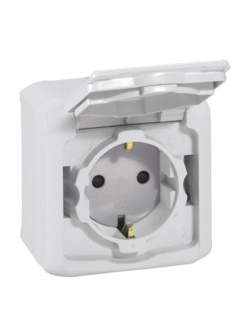 VirÅ¡tinkinis kiÅ¡tukinis lizdas su Ä¯Å¾eminimu 782393 Forix Legrand (pilka)