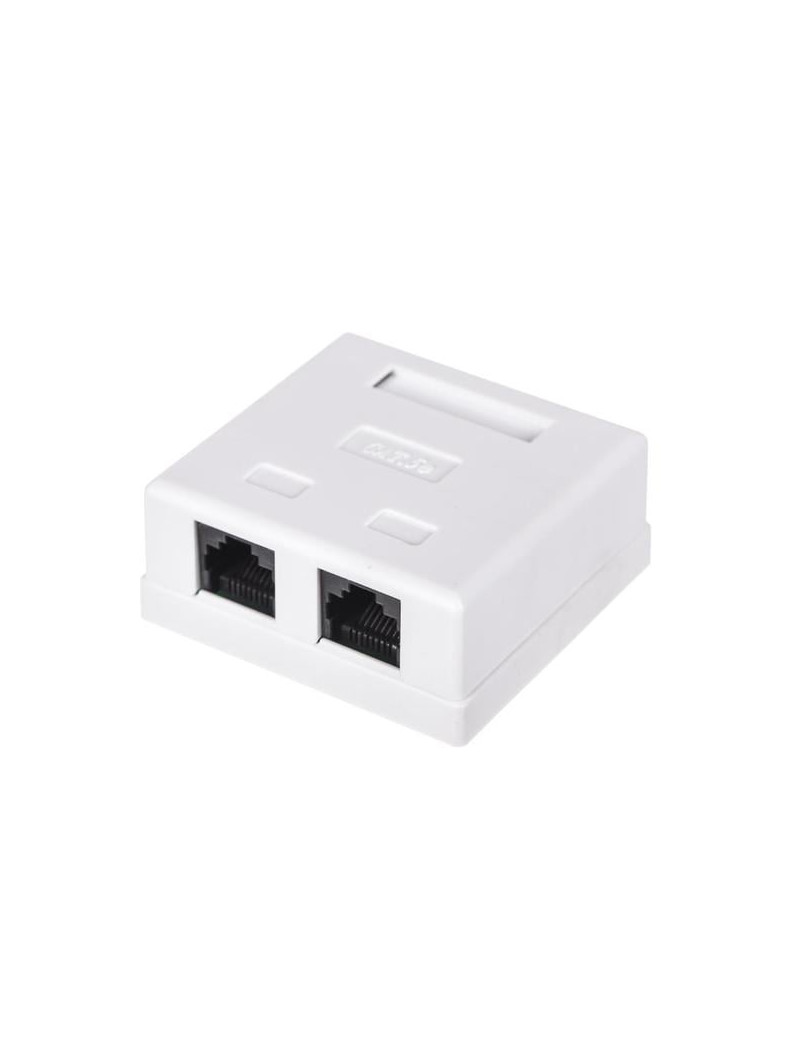 VirÅ¡tinkinis kiÅ¡tukinis lizdas RJ45 (2 prievadai, UTP CAT6)