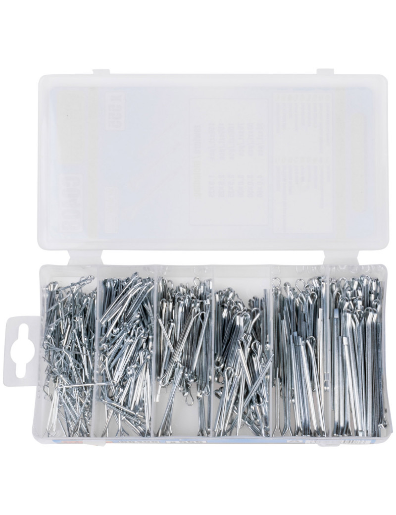 Fiksavimo kaiščių rinkinys 555 vnt