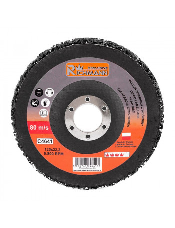 Valymo diskas Richmann 125mm