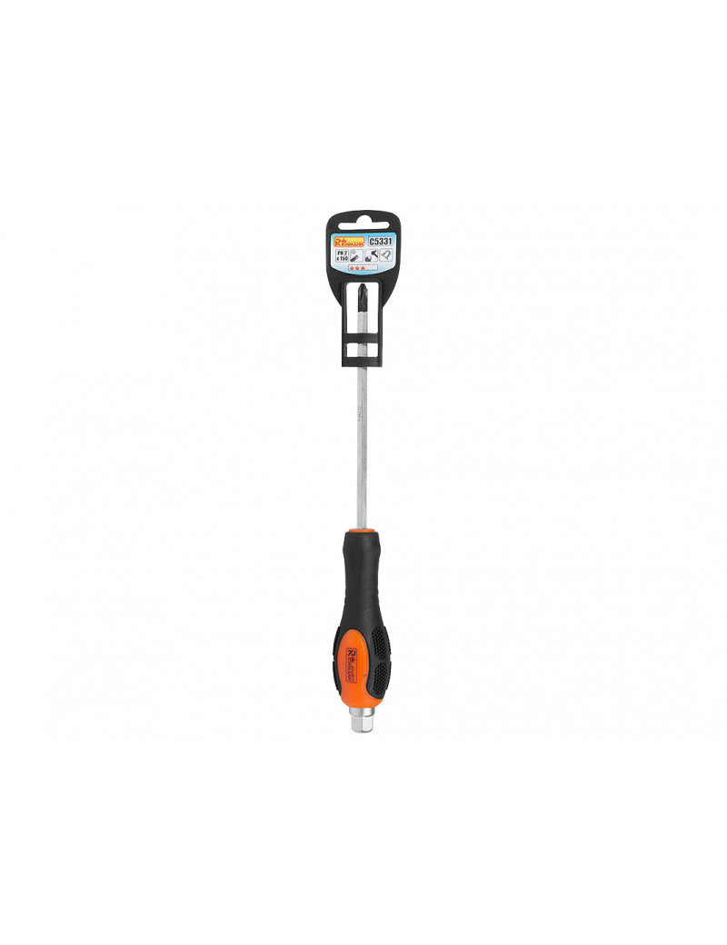 Plokščias atsukt „RICHMANN 10 x 250 mm