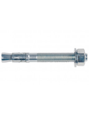 Ankerinis varžtas FBN II 20/30 20x90 mm