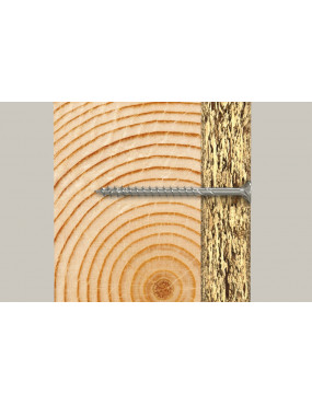 Dėžutė Medsraigčiai TORX 60x90 balti 100