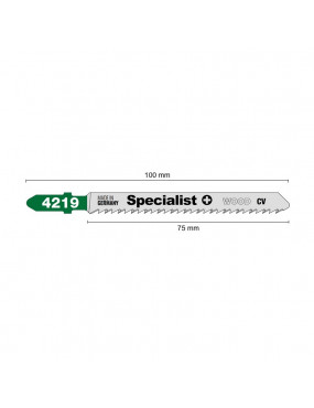 SPECIALIST+ pjūklelis 4219 T101B 2 vnt