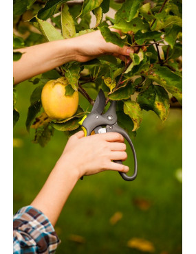 Sekatorius CRAZY 200 mm maks 30 mm